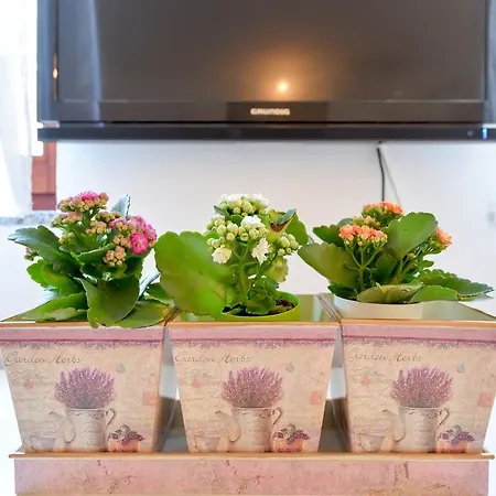 Апартаменти Nora